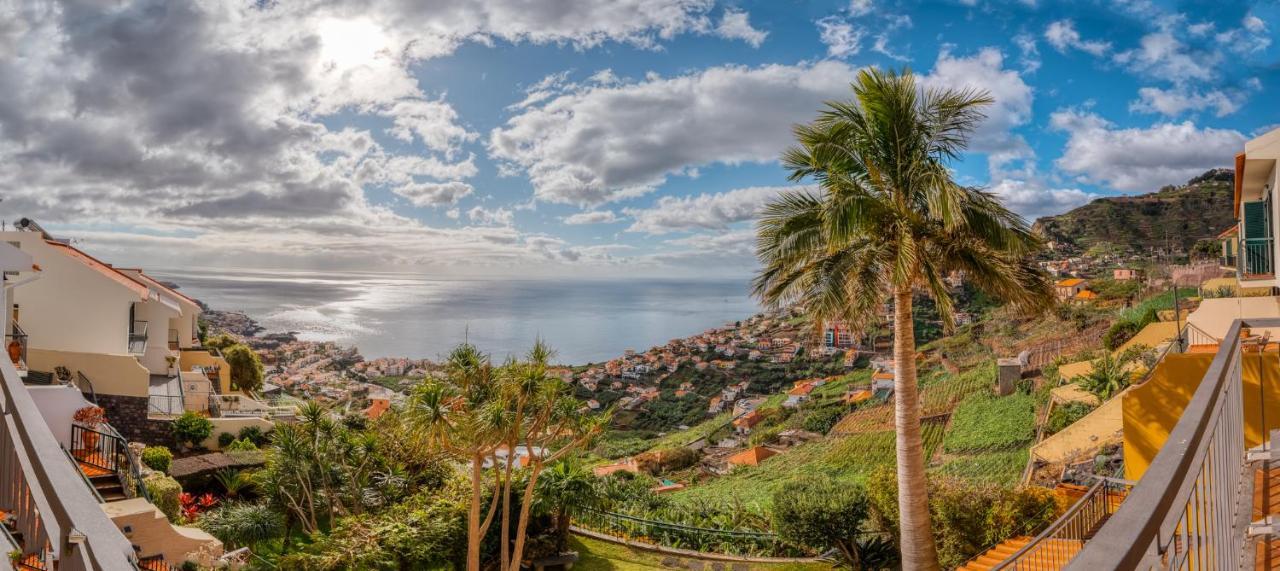 Palm Tree House By Amazing Madeira Villa Câmara de Lobos Buitenkant foto